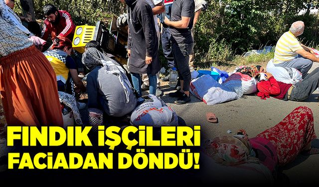 Fındık işçileri şarampole uçtu! Çok sayıda işçi yaralandı