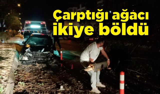 Çarptığı ağacı ikiye böldü