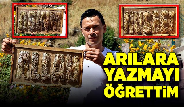 Arılara yazmayı öğretti!