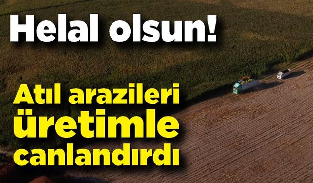 Çaycumalı aile; Atıl durumda olan arazileri üretimle canlandırdı