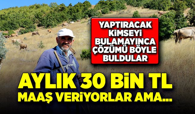 Yaptıracak kimseyi bulamayınca, başka çözüm getirdiler