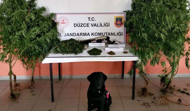 Uyuşturucu üretilen eve jandarmadan baskın!