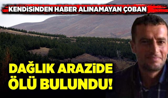 Çoban dağlık arazide ölü bulundu!