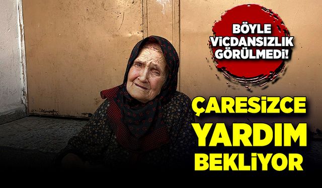 Çaresizce yardım bekliyor, böyle vicdansızlık görülmedi