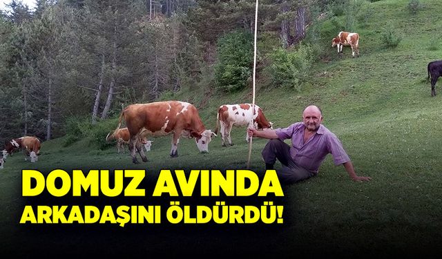 Arkadaşlarıyla domuz avına çıktı, kazara arkadaşını öldürdü!