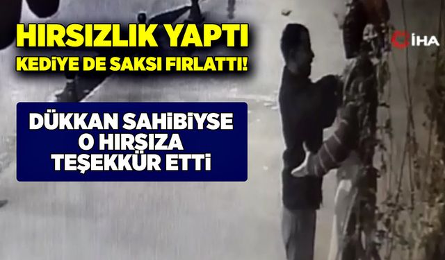 Cansız mankenin kıyafetlerini çalıp, kediye de saksı fırlattı