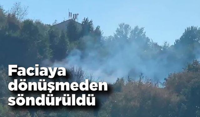 Zonguldak'ta çalılıkta başlayan yangın büyümeden söndürüldü