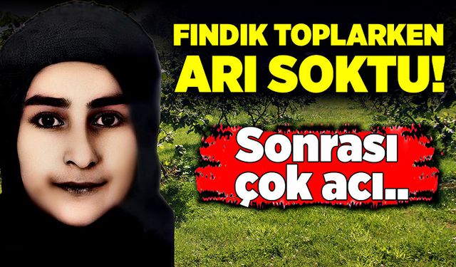 Fındık toplarken arı soktu! Sonrası çok acı...