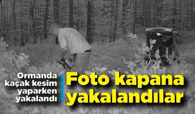 Ormanda kaçak kesim yapan şahıslar foto kapana yakalandı