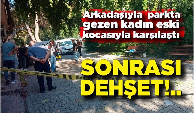 Öldüren tesadüf; Parkta gördüğü eski eşini öldürdü