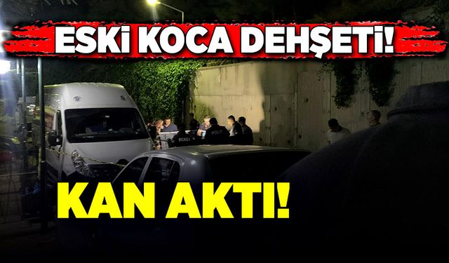 Koca dehşet saçtı! Ortalık kana bulandı!