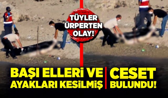 Başı, elleri ve ayakları kesilmiş kadın cesedi bulundu!