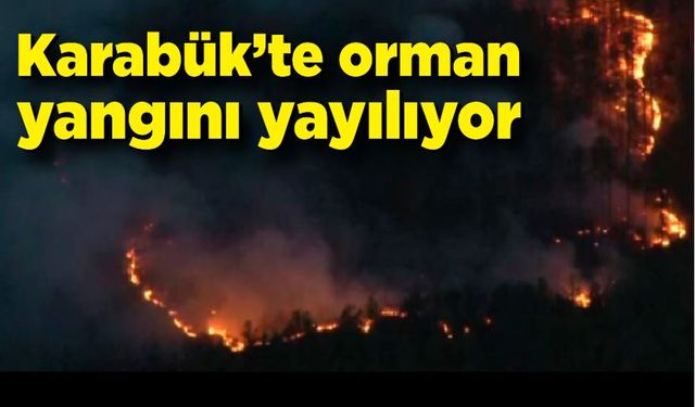 Karabük'te orman yangını devam ediyor