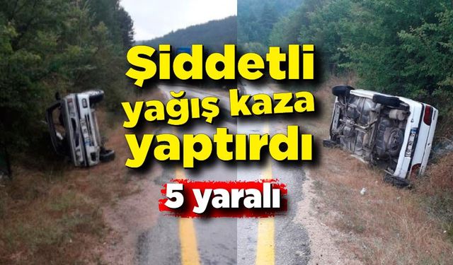 Otomobil şarampole devrildi: 5 yaralı