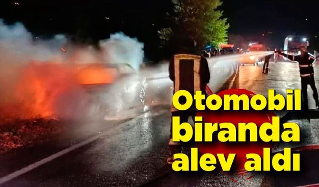 Kastamonu'da seyir halindeki otomobil alev alev yandı