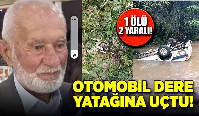 Kontrolden çıkan otomobil dere yatağına uçtu! 1 ölü, 2 yaralı