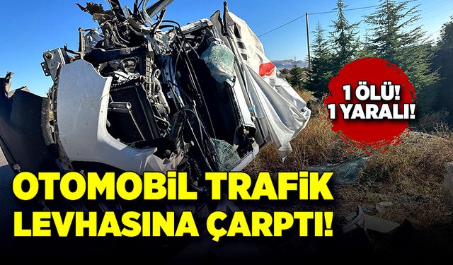 Otomobil trafik levhasına çarptı! 1 ölü, 1 yaralı