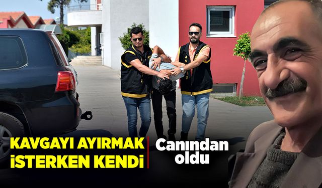 Kavgayı ayırmak isterken kendi canından oldu!