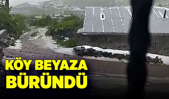 Köy beyaza büründü, görenler şok oldu!