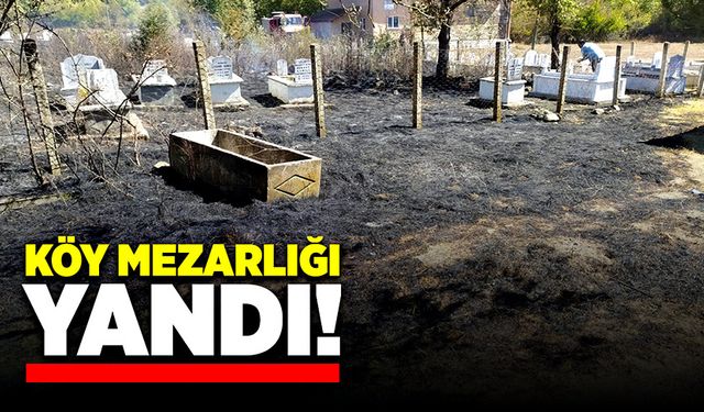 Köy mezarlığı yandı!