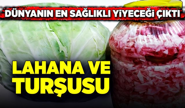 Dünyanın en sağlıklı yiyeceği çıktı… Lahana ve turşusu