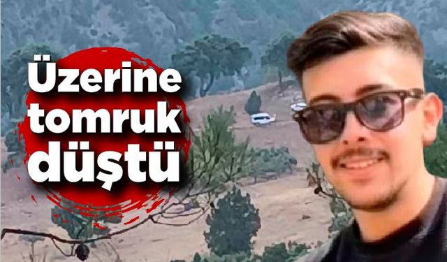 Kesim esnasında üzerine tomruk düştü