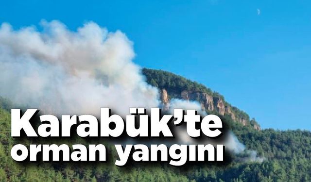  Karabük’te orman yangını