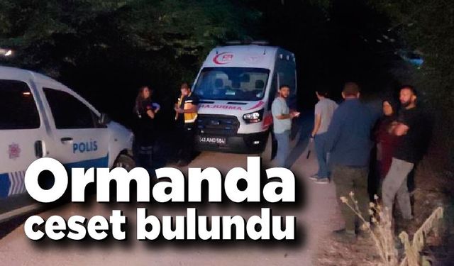 Ormanda çürümüş ceset bulundu