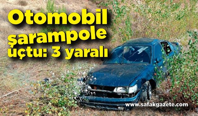 Yoldan çıkan otomobil şarampole uçtu: 3 yaralı