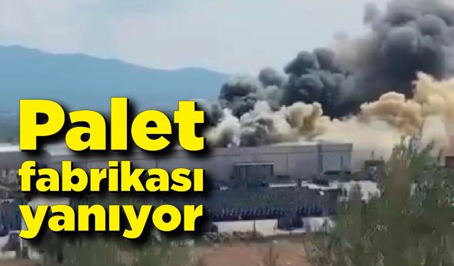 Palet fabrikası yanıyor