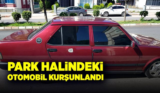 Park halindeyken kurşunların hedefi oldu