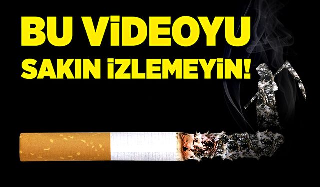 Bu videoyu sakın izlemeyin!