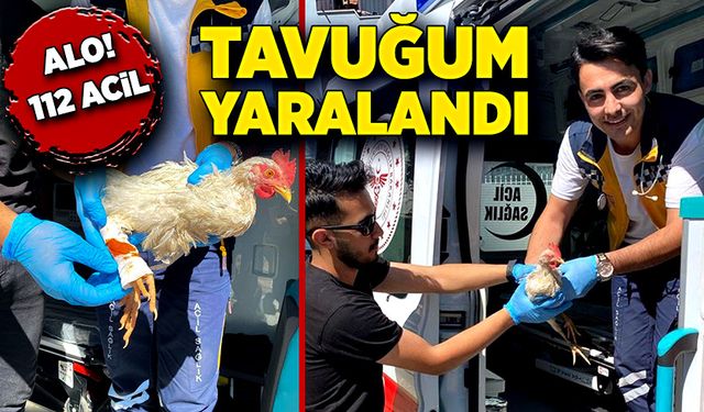 Yaralı tavuğu için 112’den destek istedi