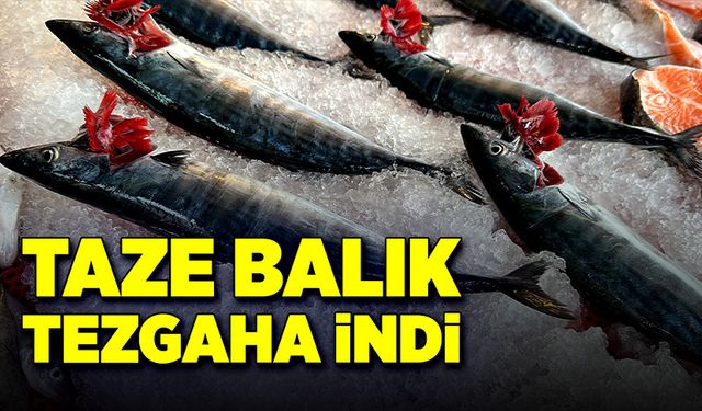 Taze balık tezgahlarda yerini aldı