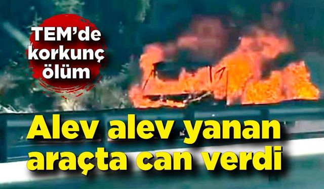 Alev alev yanan araçta can verdi