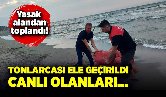 Yasak alandan tonlarca kum şırlanı çıkarmışlar!