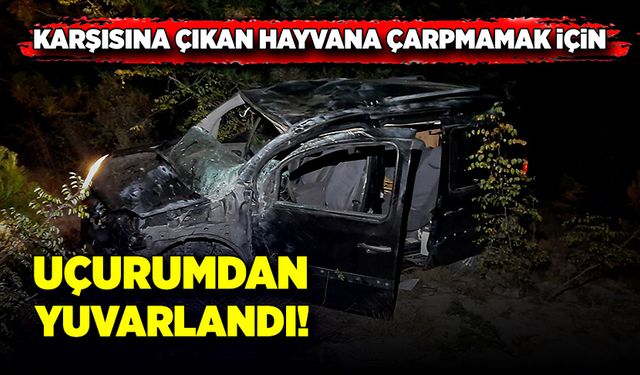 Karşısına çıkan hayvana çarpmamak için, 52 metreden uçuruma yuvarlandı!