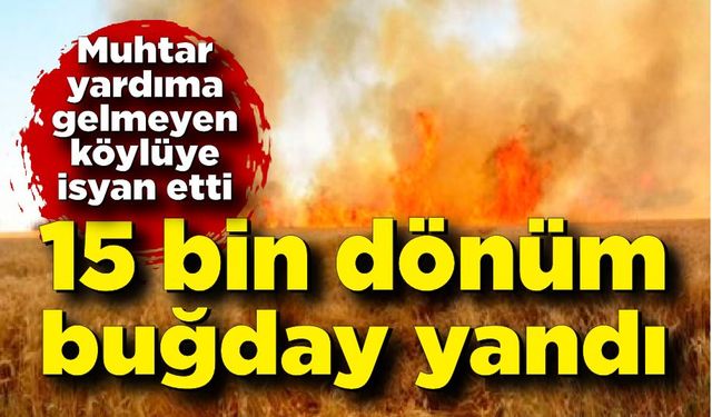 15 bin dönüm buğday küle döndü; Muhtar köylüye isyan etti