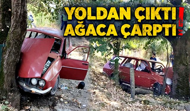 Yoldan çıktı, ağaca çarptı!