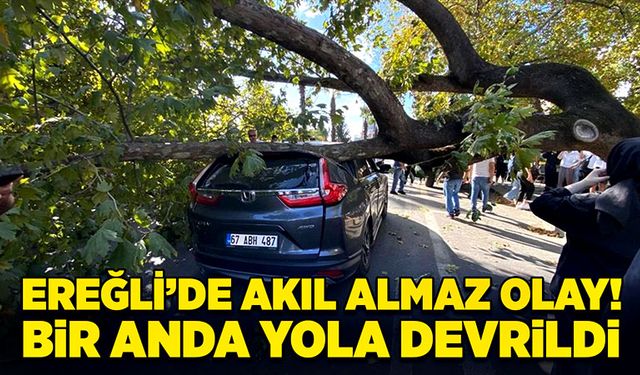 Ereğli’de akıl almaz olay! Bir anda yola devrildi