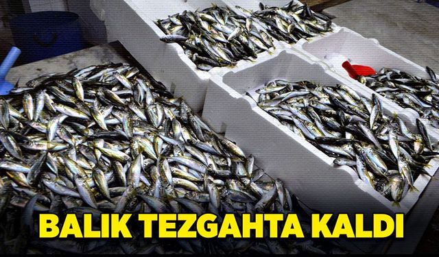 Balık tezgahta kaldı