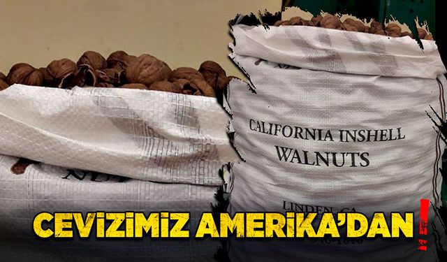 Cevizimiz Amerika’dan