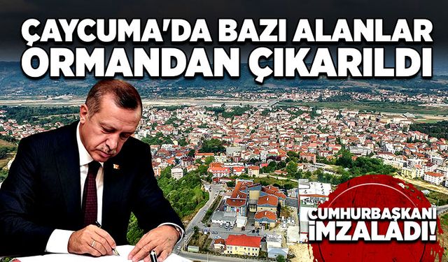 Çaycuma'da bazı alanlar ormandan çıkarıldı. Cumhurbaşkanı imzaladı