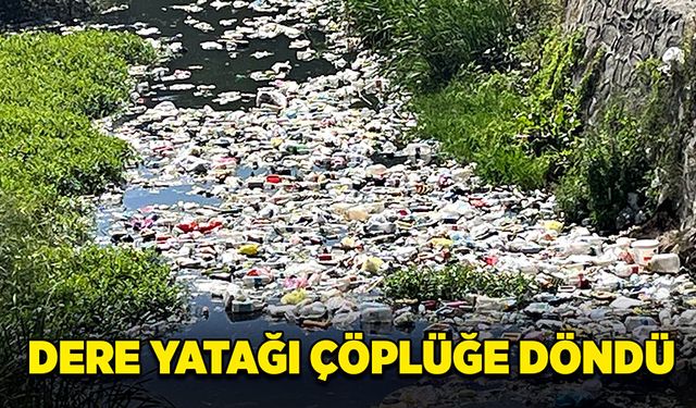 Dere yatağı çöplüğe döndü