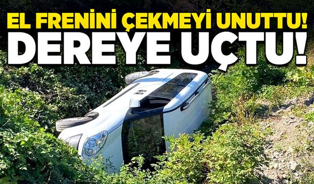 El frenini çekmeyi unuttu! Dereye uçtu!