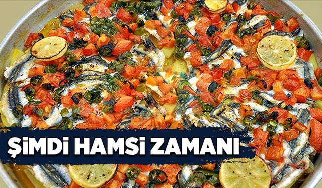 Şimdi hamsi zamanı!