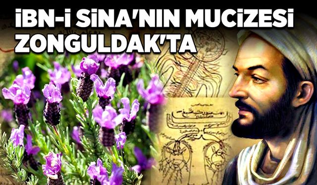 İbn-i Sina'nın mucizesi Zonguldak'ta