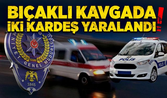 Bıçaklı kavgada 2 kardeş yaralandı