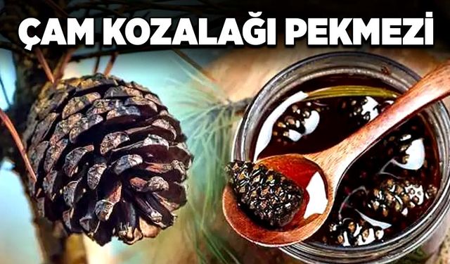 Çam kozalağı pekmezi