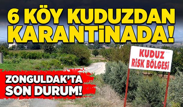 6 köy kuduzdan karantinada! Zonguldak’ta son durum!